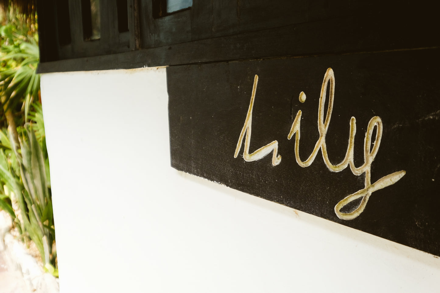 LILY